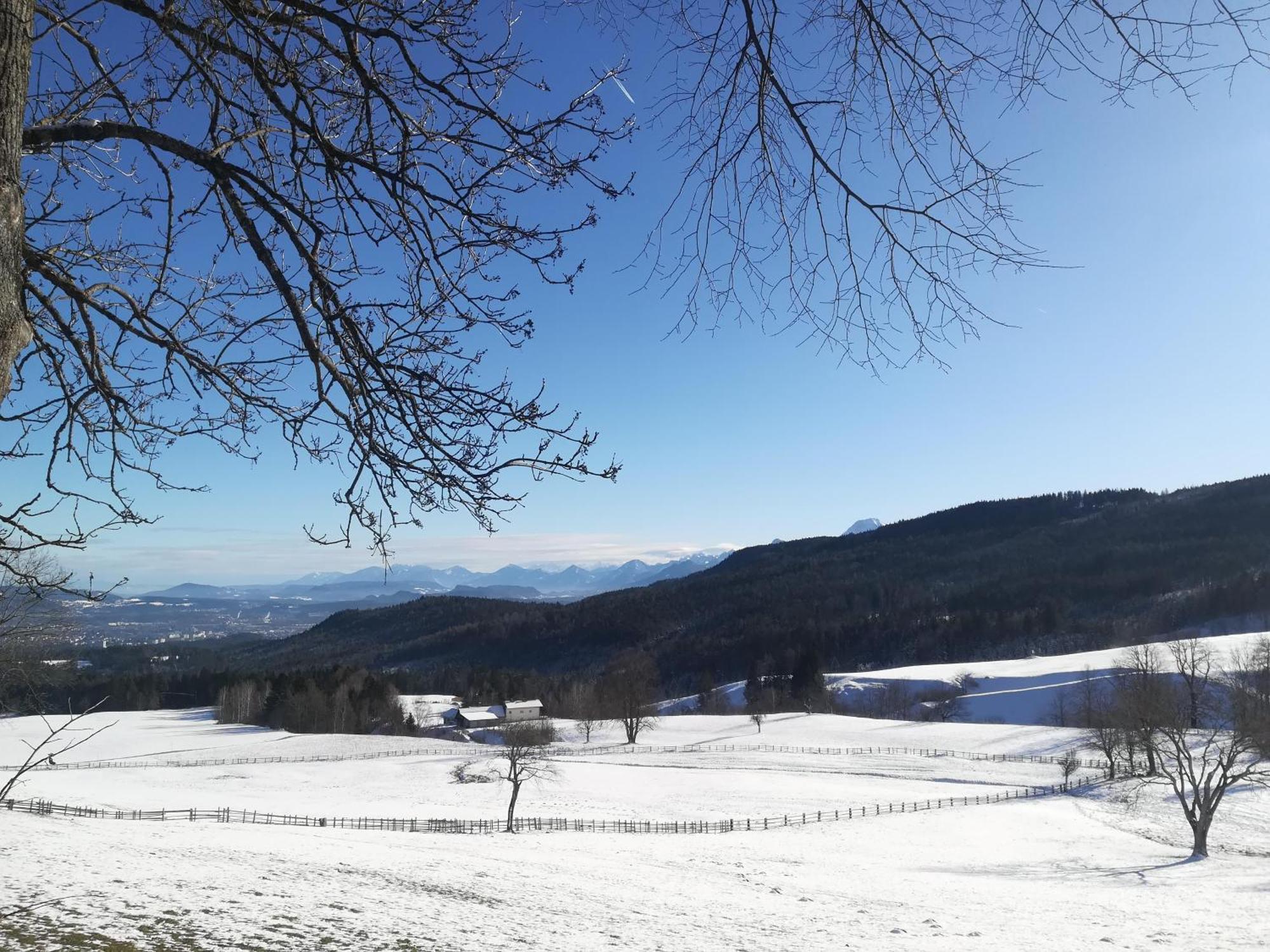 Casableiberg - Garten Apartment - Naturpark Dobratsch Bad Bleiberg Eksteriør bilde